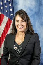 Expert witness in courtroom